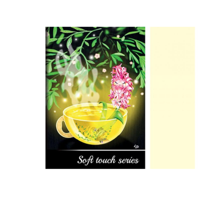 Блокнот TM Profiplan "Soft touch series" cup, A5, 96 страницы