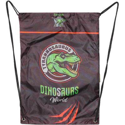 сумка для взуття, 46х33см, поліестер, "Dinosaurs World", 2437C