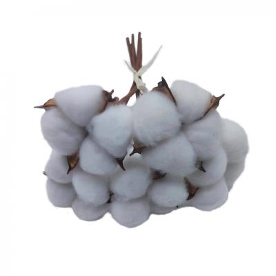 Гілка декоративна Yes! Fun "Бавовна" 5 шт/пучок, 24 см