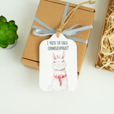 lfd0153 Листівка "Симпатична лама"