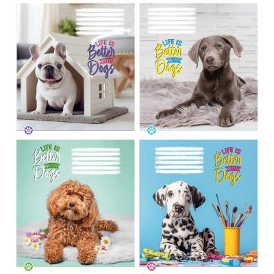 Зошит учнівський повноколірний 12 арк., лінія. "Життя чудове"