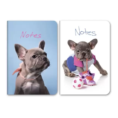 Записна книжка А6 (102х155), 96 арк, клітинка, обкл. тв.картон, ламін. "Песик" Записна книжка А6 (102х155), 96 арк, клітинка, обкл. тв.картон, ламін. "Песик"