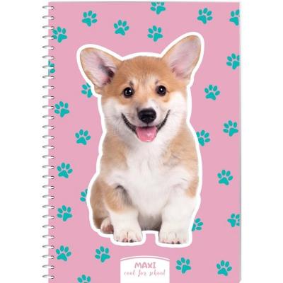 Блокнот А5, пластикова обкл., спіраль, 60 арк., клітинка