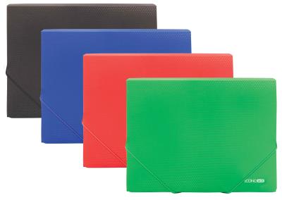 Папка пластикова для документів А4 на гумках ECONOMIX (1/20/120) Папка пластикова для документів А4 на гумках ECONOMIX (1/20/120)