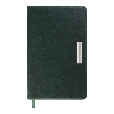 Щоденник датов. 2026 SALERNO, A6, зелений, штуч. шкіра