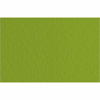 Папір для пастелі Tiziano A3 (29,7*42см), №43 pistacch, 160г/м2, фісташковий, середнє зерно,Fabriano (1) Папір для пастелі Tiziano A3 (29,7*42см), №43 pistacch, 160г/м2, фісташковий, середнє зерно,Fabriano (1)