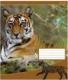 Зошит загальний Knopka, 48 аркушів, клітинка, The wild nature (16 шт/уп)