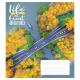 Зошит учнівський повноколірний 12 арк., клітинка. "Природа"