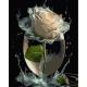 Набір для розпису по номерах Троянда у скляній вазі Strateg на чорному фоні розміром 40х50 см (AH1001)