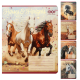 Зошит учнівський шкільний HORSES, 24арк., лінія, KIDS LINE