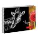 Альбом для малювання Yes А4 20арк./120 спіраль "Flowers&Black" виб.гібрід.лак