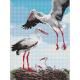Набір з алмазною мозаїкою "Сім’я лелек" 30х40см