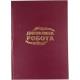 Дипломна робота Фолдер, А4, 100арк., ТК з рамками (бумвініл) + тиснення, 00154 (1/10)