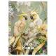 Зошит для записів, спiраль, А5/80арк., у клітинку, білий блок, 70г/м2, ПК, виб.УФ-лак, Student