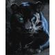 Набір для розпису по номерах "Дика пантера" 40x50см