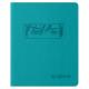 Щоденник шкільний А5 (160х198), 42 арк., обкл. шт.шкіра бірюза "Аніме"